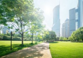 The Advantages of Green Space in Urban Areas