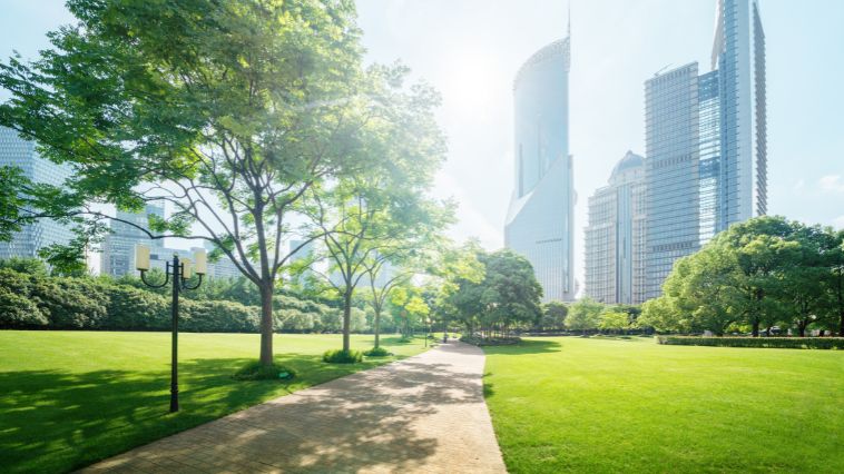 The Advantages of Green Space in Urban Areas