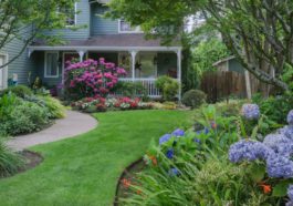 Landscaping Issues To Consider Before You Buy a House