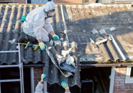 Things To Know When Clearing Out a Property Lot