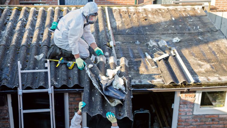 Things To Know When Clearing Out a Property Lot
