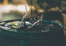 Photo by Amritanshu Sikdar on Unsplash
