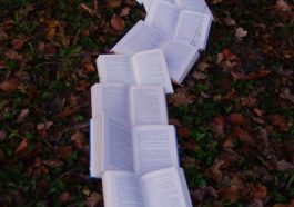 books on ground