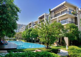 green trees near swimming pool during daytime