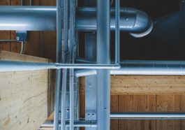 Photo by Sigmund on Unsplash