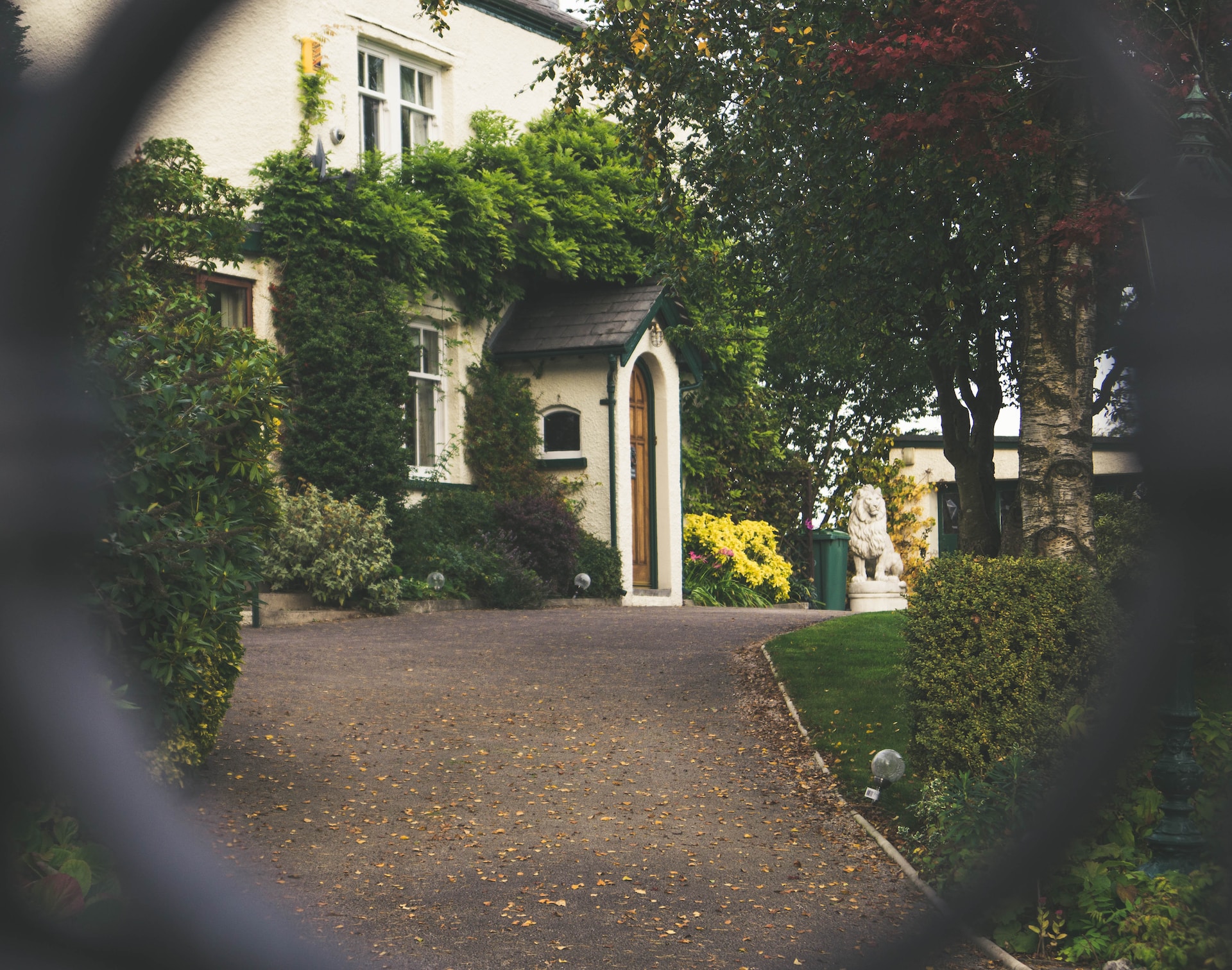 Photo by Matt Jones on Unsplash