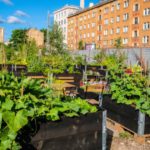 4 Effective Ways To Make Urban Green Spaces