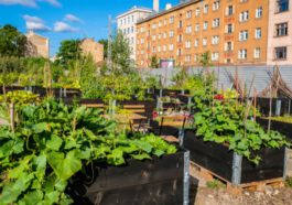 4 Effective Ways To Make Urban Green Spaces