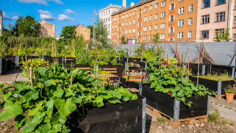4 Effective Ways To Make Urban Green Spaces