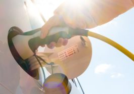4 Business Strategies for Targeting Eco-Conscious Customers