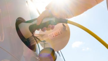 4 Business Strategies for Targeting Eco-Conscious Customers