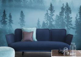 Creating Welcoming Spaces for Affordable Prices