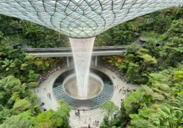 Roofs and Sky Gardens in Singapore