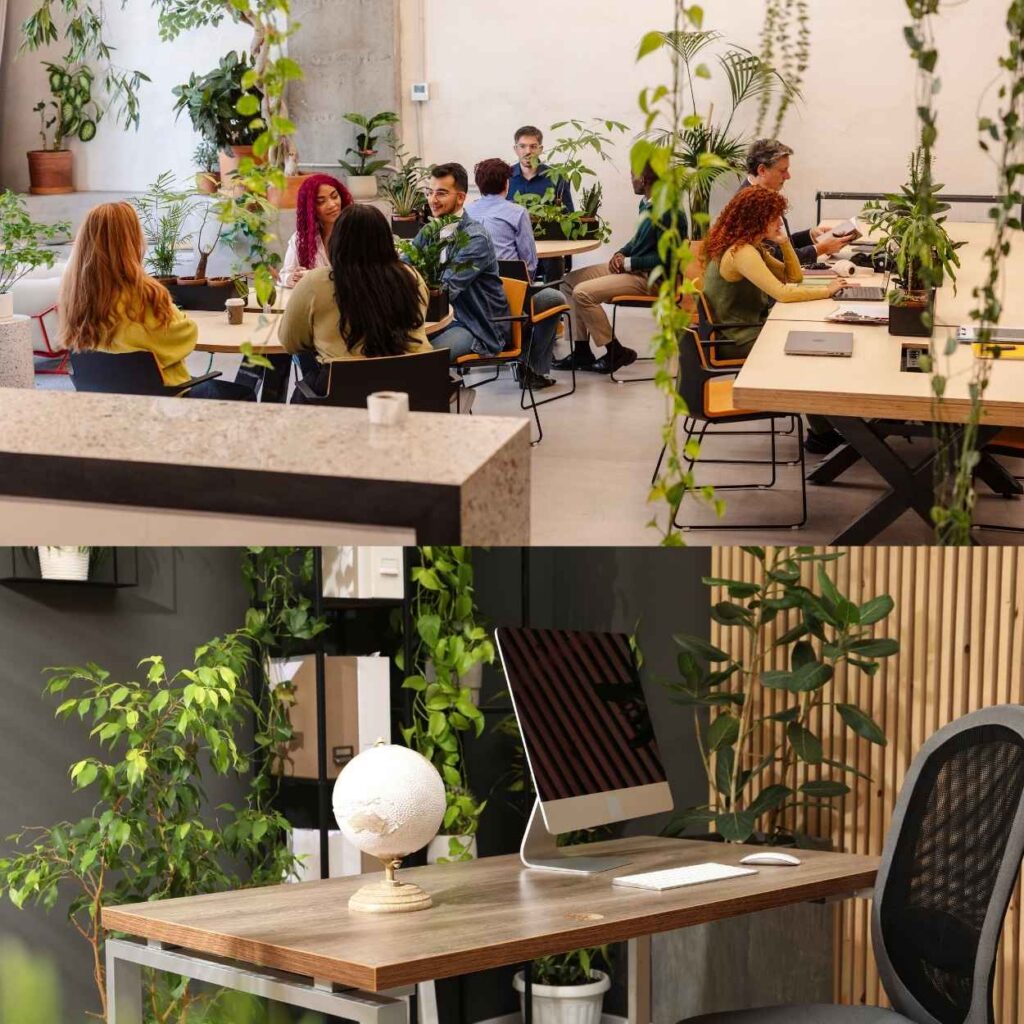 Biophilic Design 2026 in Modern Architecture