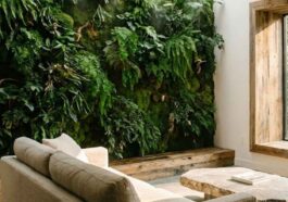 Biophilic Design 2026
