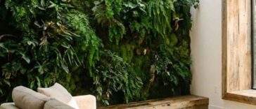 Biophilic Design 2026
