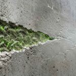 Self-Healing Concrete 2026: Bacteria Repairs Cracks on Its Own
