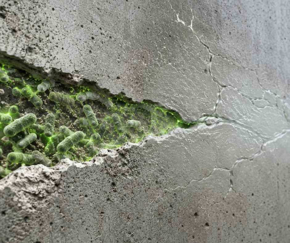 Self-Healing Concrete 2026: Bacteria Repairs Cracks on Its Own